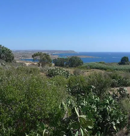 The View Qala